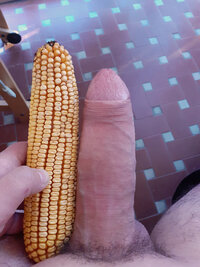 foto2.jpg