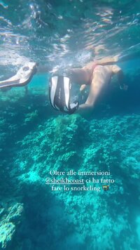 vlcsnap-2024-05-22-21h55m01s351.jpg