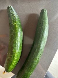 IMG_0890.jpeg