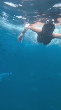 vlcsnap-2024-08-15-12h53m48s583.jpg