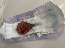 IMG_3048.jpeg