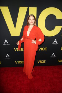 amy adams al gala 03.jpg