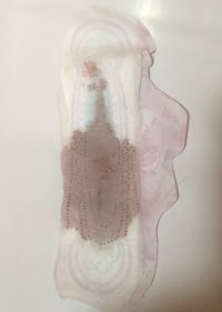IMG_5631.jpeg