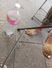 IMG_5126.jpeg