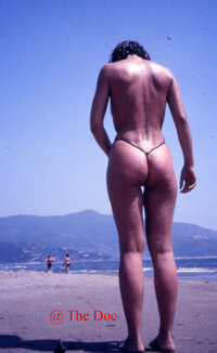 77034_Ansedonia010a_123_488lo.jpg