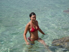 Moretta porcella (3).jpg