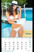 02Elena_Gallina-Official_Calendar_2009_february.jpg