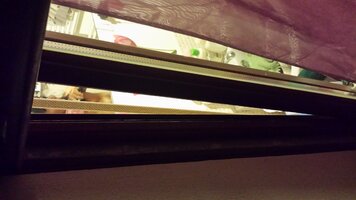 20160902_202449.jpg