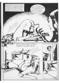 LC_01 (5).jpg