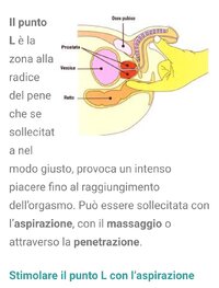 16599371