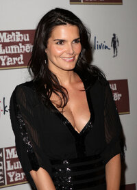 angie harmon al gala 02.jpg