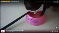 Piss and Cum= Leashed Girlfriend Drinks Out of a Dog Bowl4.png