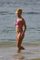 pamela anderson in bikini 17.jpg
