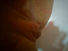 IMG_2613.JPG