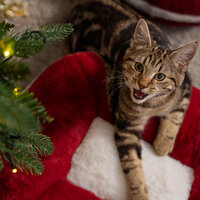 santa-maya-donut-christmas-cat-bed.jpg