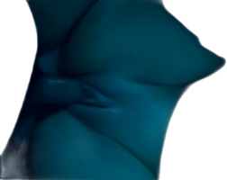 Screenshot_20230729_220033_Gallery.png
