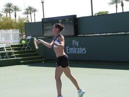 img2438v.jpg
