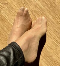 PIE__77734551.jpg