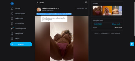 screenshot-onlyfans.com-2023.11.19-19_51_20.jpg