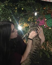 hildakertalli_20181113_p_1911983202837128284_1_1911983202837128284.jpg
