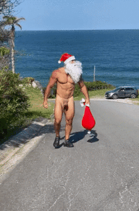 bdb DiMin 1 santa claus walking on the road near beach gif ii.gif